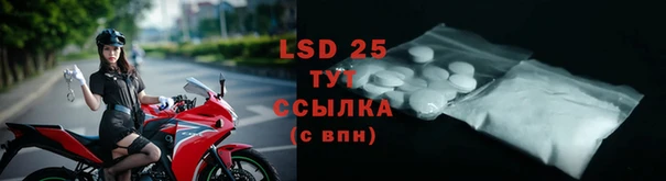 молекула духа Елабуга