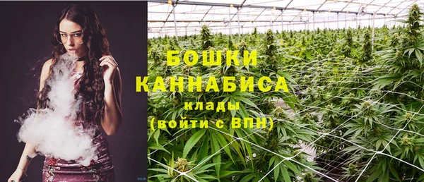 марки nbome Ельня