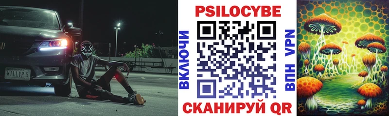Псилоцибиновые грибы Psilocybe Будённовск